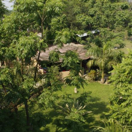 Chitwan Safari Camp & Lodge ソーラハ エクステリア 写真