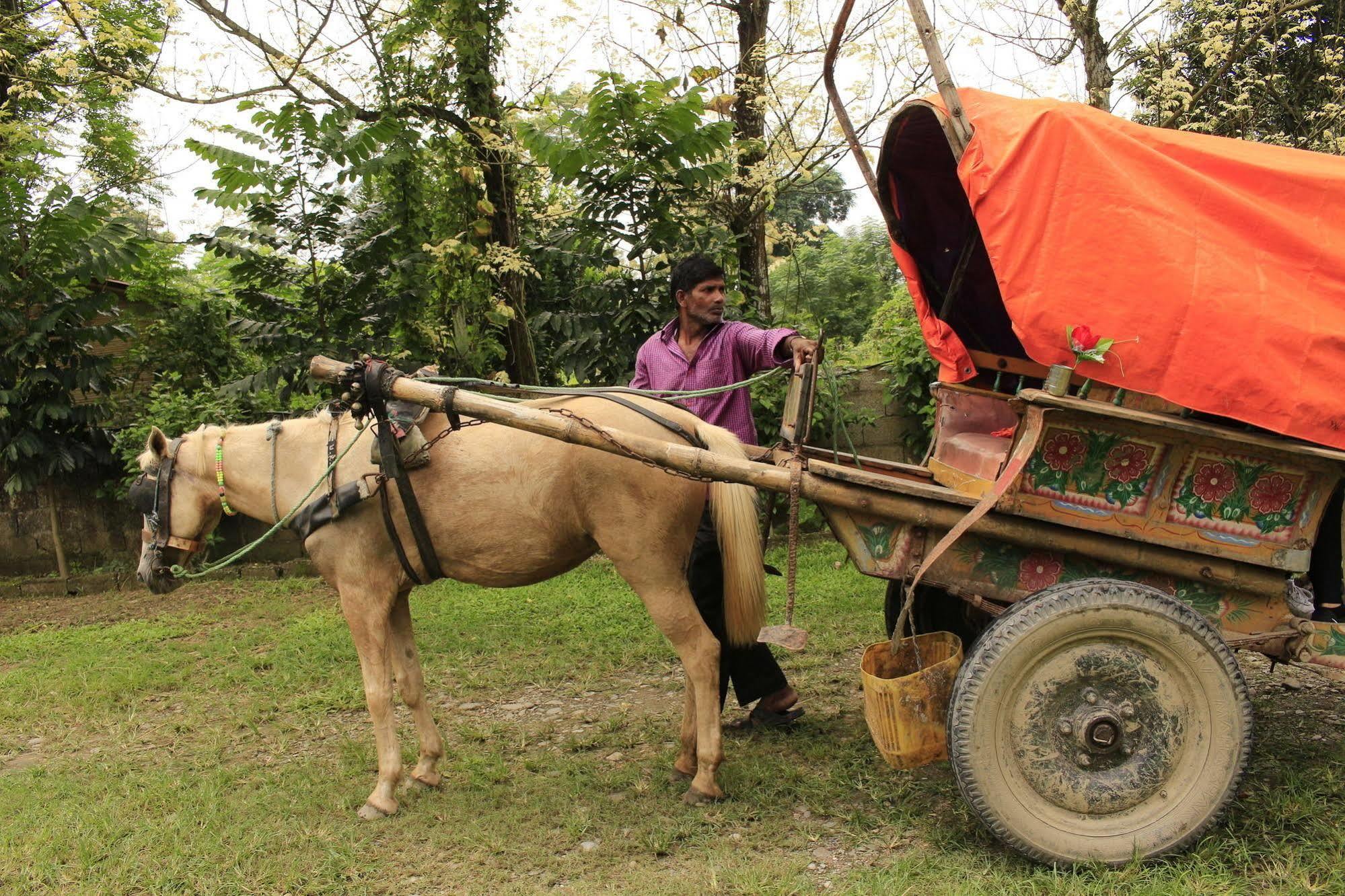 Chitwan Safari Camp & Lodge ソーラハ エクステリア 写真